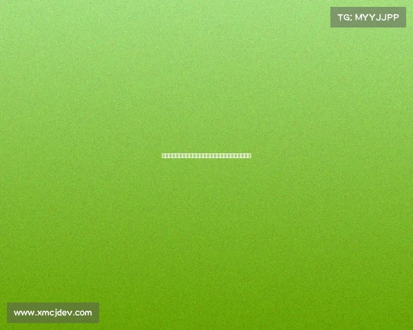 西甲中场组织核心地位解析及其对球队战术影响的深度剖析