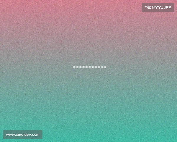 赛季回顾与展望：全面解析各队表现与未来发展趋势